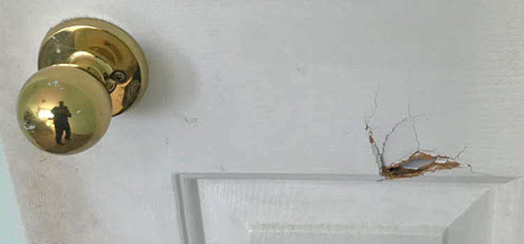 interior door hole repair Merritt Island